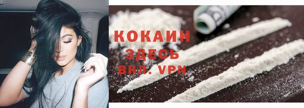 прущие грибы Карталы