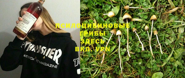прущий лед Карпинск